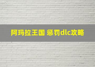 阿玛拉王国 惩罚dlc攻略